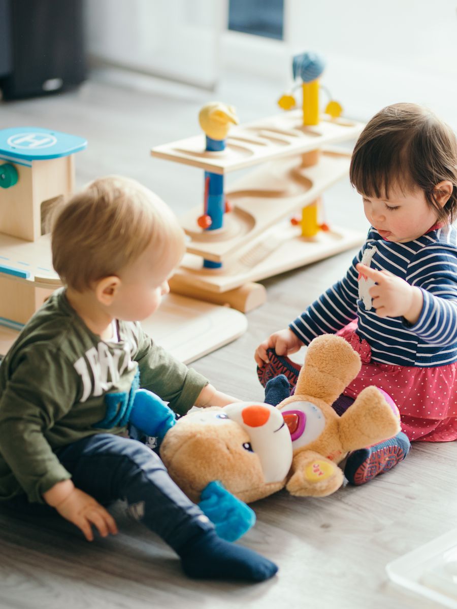 Two toddlers playing on the floor with a plush toy and wooden toys